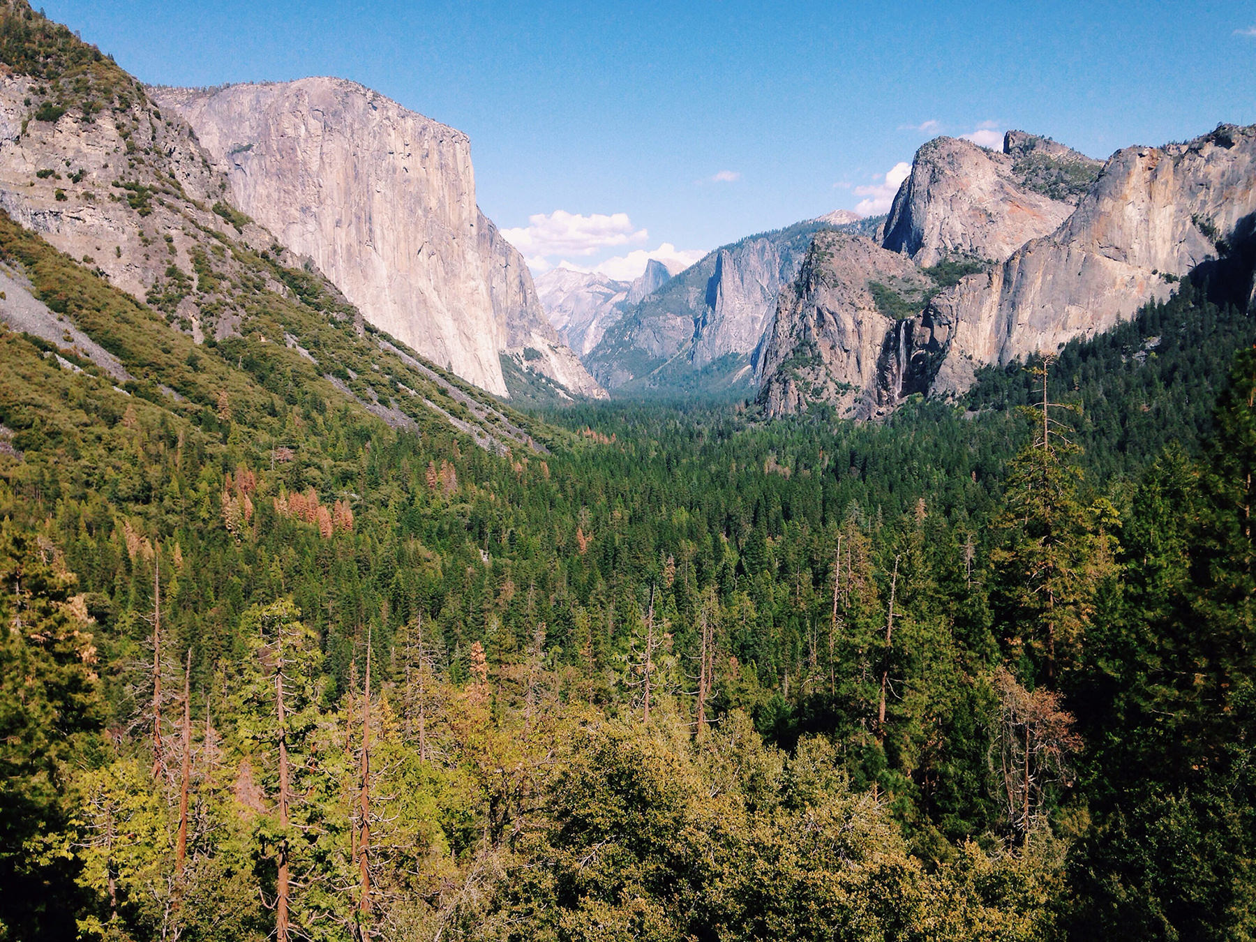 Yosemite, 2015
